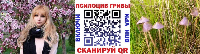 omg ссылки  что такое наркотик  Могоча  Псилоцибиновые грибы мухоморы 